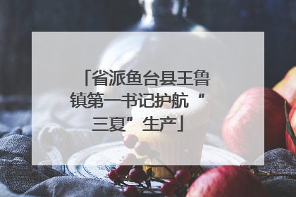 省派鱼台县王鲁镇第一书记护航“三夏”生产