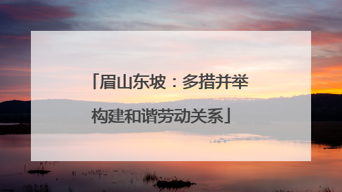 眉山东坡：多措并举构建和谐劳动关系