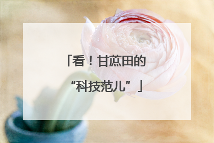 看！甘蔗田的“科技范儿”