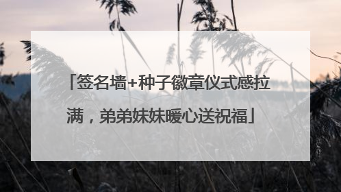 签名墙+种子徽章仪式感拉满，弟弟妹妹暖心送祝福