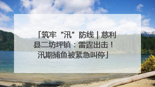 筑牢“汛”防线｜慈利县二坊坪镇：雷霆出击！汛期捕鱼被紧急叫停