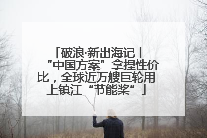 破浪·新出海记丨 “中国方案”拿捏性价比，全球近万艘巨轮用上镇江“节能桨”
