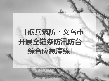 砺兵筑防：义乌市开展全链条防汛防台综合应急演练