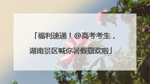 福利速递！@高考考生，湖南景区喊你暑假撒欢啦