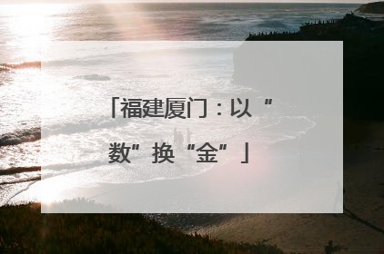 福建厦门：以“数”换“金”