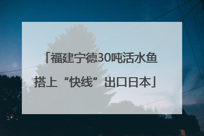 福建宁德30吨活水鱼搭上“快线”出口日本