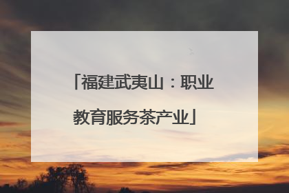 福建武夷山：职业教育服务茶产业