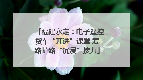福建永定：电子遥控货车“开进”课堂 爱路护路“沉浸”接力