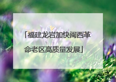 福建龙岩加快闽西革命老区高质量发展