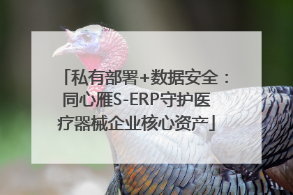 私有部署+数据安全：同心雁S-ERP守护医疗器械企业核心资产