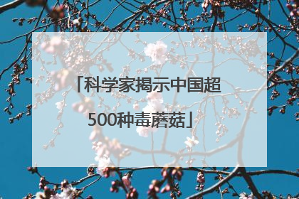 科学家揭示中国超500种毒蘑菇