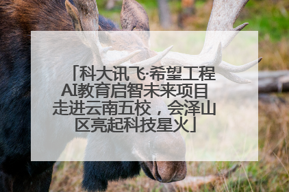 科大讯飞·希望工程AI教育启智未来项目走进云南五校，会泽山区亮起科技星火