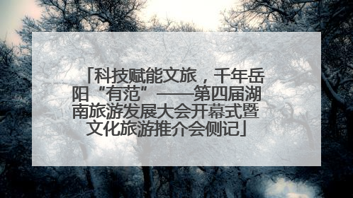 科技赋能文旅，千年岳阳“有范”——第四届湖南旅游发展大会开幕式暨文化旅游推介会侧记