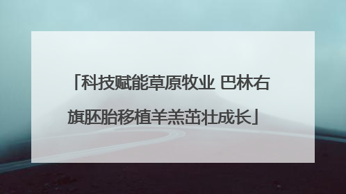 科技赋能草原牧业 巴林右旗胚胎移植羊羔茁壮成长