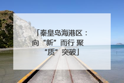 秦皇岛海港区：向“新”而行 聚“质”突破