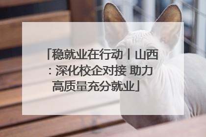 稳就业在行动丨山西：深化校企对接 助力高质量充分就业