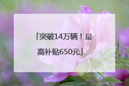 突破14万辆！最高补贴650元
