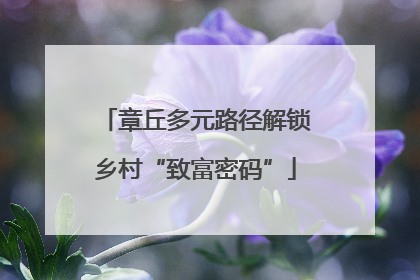章丘多元路径解锁乡村“致富密码”