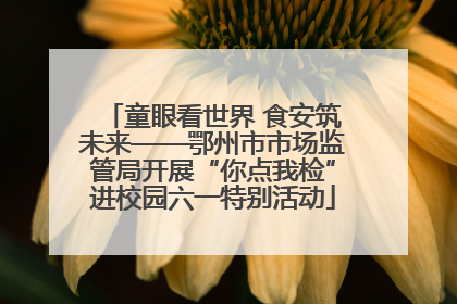 童眼看世界 食安筑未来——鄂州市市场监管局开展“你点我检”进校园六一特别活动