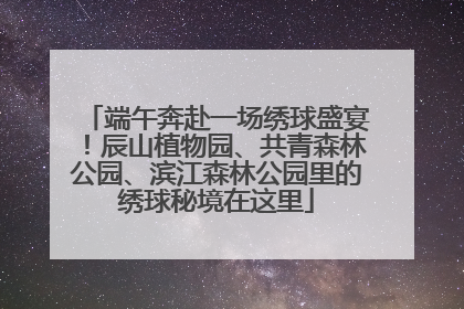 端午奔赴一场绣球盛宴！辰山植物园、共青森林公园、滨江森林公园里的绣球秘境在这里