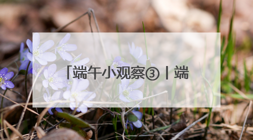 端午小观察③丨端午假期收官，湖南累计接待游客1728.81万人次