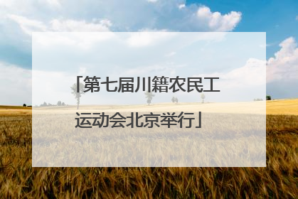 第七届川籍农民工运动会北京举行