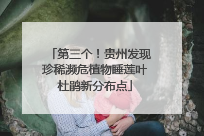 第三个！贵州发现珍稀濒危植物睡莲叶杜鹃新分布点