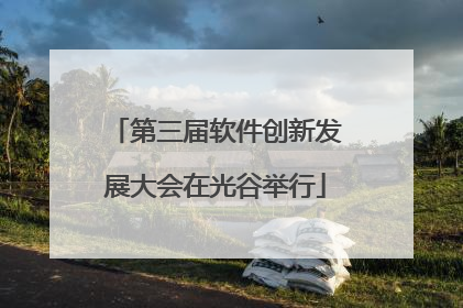 第三届软件创新发展大会在光谷举行