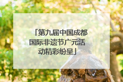 第九届中国成都国际非遗节广元活动精彩纷呈