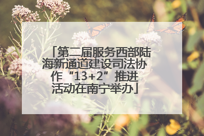 第二届服务西部陆海新通道建设司法协作“13+2”推进活动在南宁举办