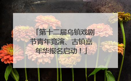 第十二届乌镇戏剧节青年竞演、古镇嘉年华报名启动！