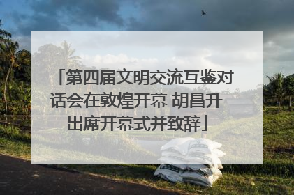 第四届文明交流互鉴对话会在敦煌开幕 胡昌升出席开幕式并致辞