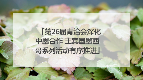 第26届青洽会深化中墨合作 主宾国墨西哥系列活动有序推进