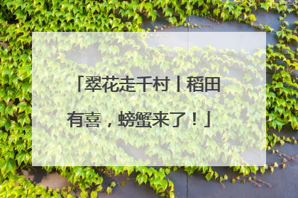 翠花走千村丨稻田有喜，螃蟹来了！
