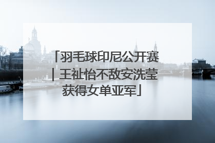 羽毛球印尼公开赛｜王祉怡不敌安洗莹 获得女单亚军