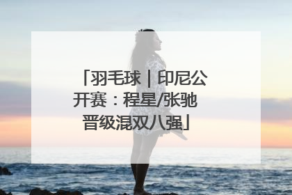 羽毛球｜印尼公开赛：程星/张驰晋级混双八强