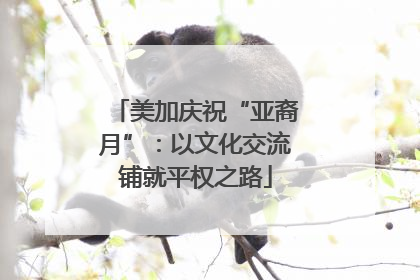 美加庆祝“亚裔月”：以文化交流铺就平权之路
