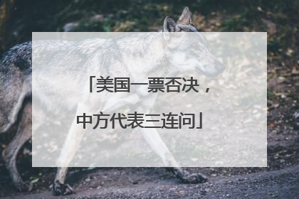 美国一票否决，中方代表三连问