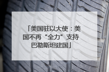 美国驻以大使：美国不再“全力”支持巴勒斯坦建国