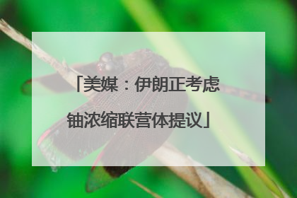 美媒：伊朗正考虑铀浓缩联营体提议