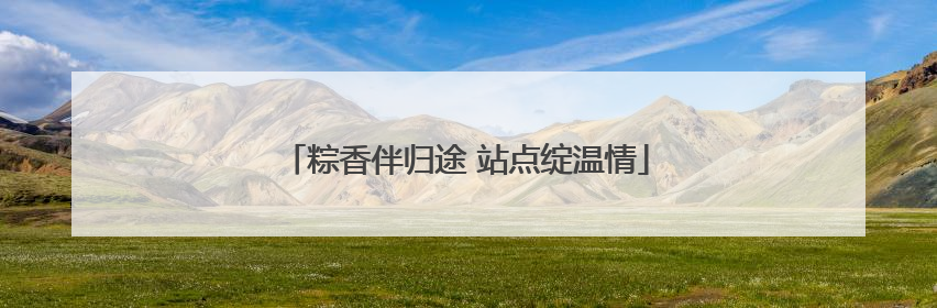 粽香伴归途 站点绽温情
