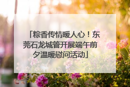 粽香传情暖人心！东莞石龙城管开展端午前夕温暖慰问活动
