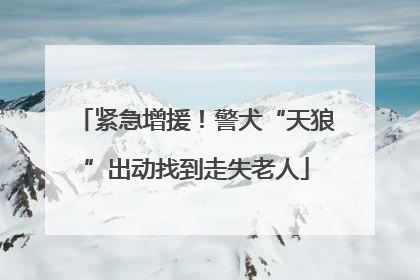 紧急增援！警犬“天狼”出动找到走失老人
