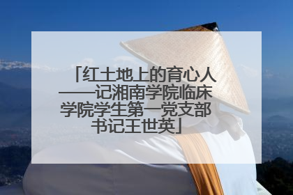 红土地上的育心人——记湘南学院临床学院学生第一党支部书记王世英
