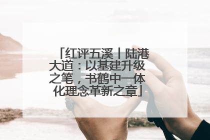 红评五溪丨陆港大道：以基建升级之笔，书鹤中一体化理念革新之章
