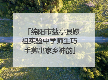 绵阳市盐亭县嫘祖实验中学师生巧手剪出家乡神韵