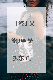 终于又能见到樊振东了