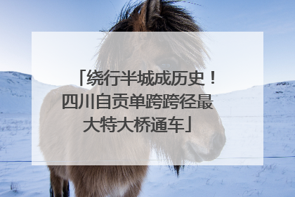 绕行半城成历史！四川自贡单跨跨径最大特大桥通车