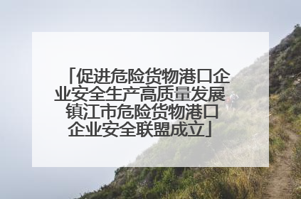 促进危险货物港口企业安全生产高质量发展 镇江市危险货物港口企业安全联盟成立