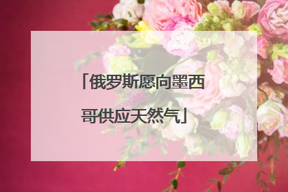 俄罗斯愿向墨西哥供应天然气